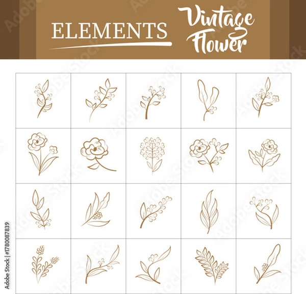 Obraz Floral Line Art Vector – Minimal Botanical Flower & Leaf Illustrations