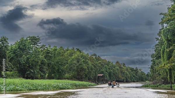 Fototapeta A tourist motorboat is sailing along the channel of a tropical river.  Impenetrable thickets of rain forest trees on the shores. Green grass, water hyacinths grow by the water. Clouds in the sky.  