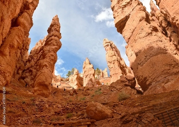 Fototapeta Orange hoodoos in the amphitheater of Bryce Canyon National Park in Utah.