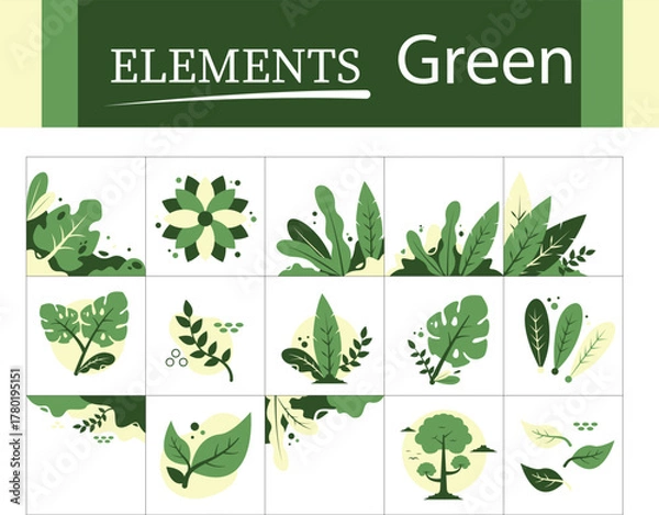 Obraz Botanical Leaf Vector Elements – Green Nature Floral Illustration Set