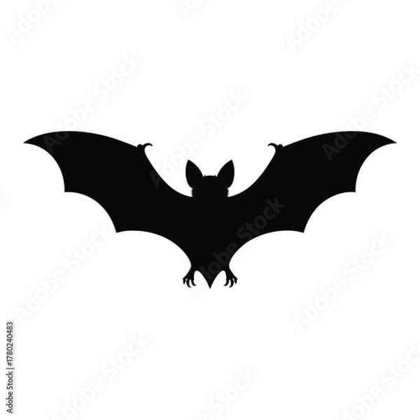 Fototapeta Bat flying with wings spread wide Vector, Silhouette, Illustration
