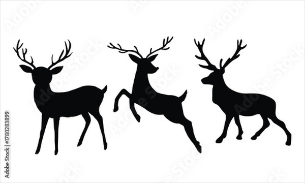 Fototapeta Set of Elegant Deer Silhouettes