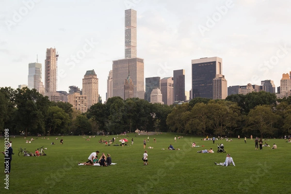Fototapeta Many people rest on the grass lawn of Central park, skyscrapers peeks out of the trees on background