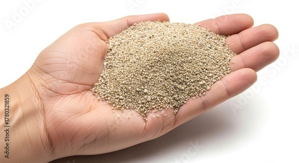 Fototapeta A human hand holds a pile of small round tancolored particles against a plain white background
