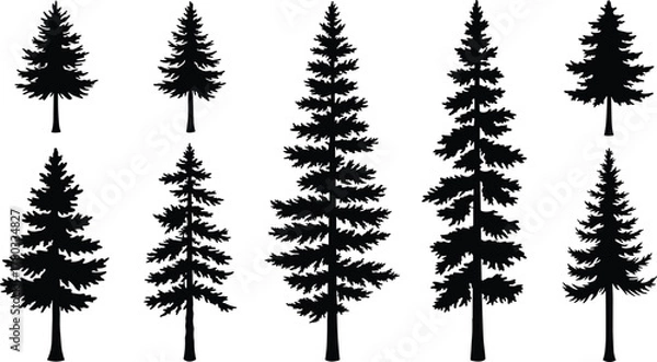 Obraz Conifer tree silhouettes, evergreen forest icons, pine tree shapes, nature graphic elements, black tree illustration set, botanical vector trees