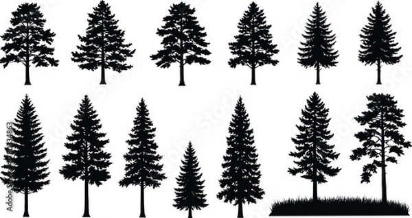 Fototapeta Conifer tree silhouettes, evergreen forest shapes, pine tree icons, nature illustration set, black vector trees, botanical graphic elements, landscape design