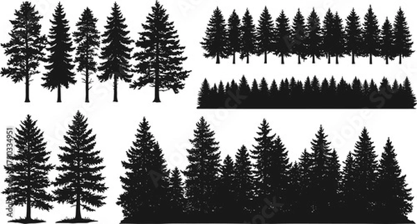 Obraz Conifer tree silhouettes, forest shapes, pine tree clusters, nature pattern, woodland density, evergreen outlines, black trees, landscape elements, vector illustration