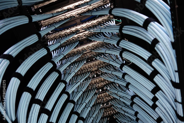 Fototapeta Intricate Network Cable Arrangement Vertical