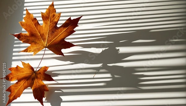 Fototapeta Artistic product staging with cinematic lighting, high-contrast shadow play, calm palette and spacious negative space, ready for advertising or web hero banner