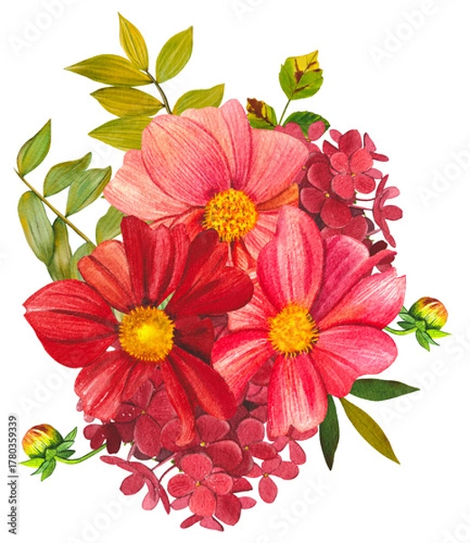 Obraz Red and pink dahlias. Arrangement of bright dahlias, leaves. Hand drawn watercolor illustration.