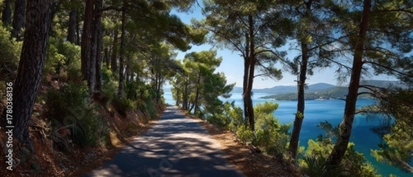 Obraz Coastal path through pine forest
