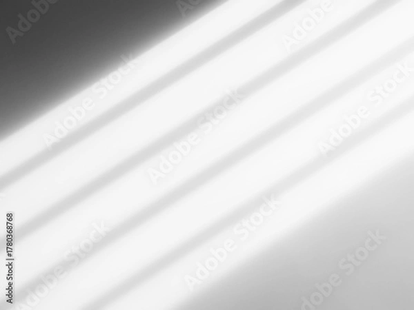Obraz Background shadow white light wall floor backdrop overlay leaf mockup summer sunight overlay nature on room cement abstract blur muckup effect grey minimal platform for presentation product