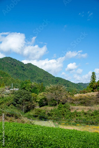 Obraz 日本の山里の風景