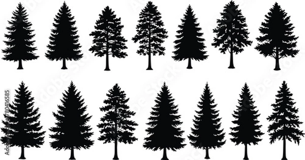Fototapeta Coniferous tree silhouettes, pine fir spruce icons, evergreen forest shapes, black foliage design set, woodland nature illustration, botanical landscape elements, flat vector