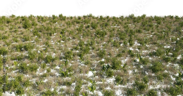 Fototapeta Forest Field Ground surface with dry grass, weed, dry bushes and ferns cutout isolated png on a transparent background for close-up and medium-range angles. Premium nature cutout