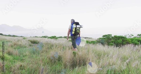 Fototapeta Walking mature adult hiker crossing golden grass field, with backpack, sleeping pad and boots