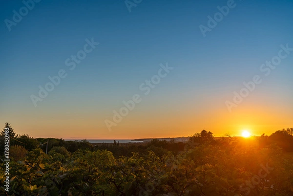 Obraz The sun sets low on the horizon, casting a golden glow over a flat vista with silhouetted foliage in the foreground