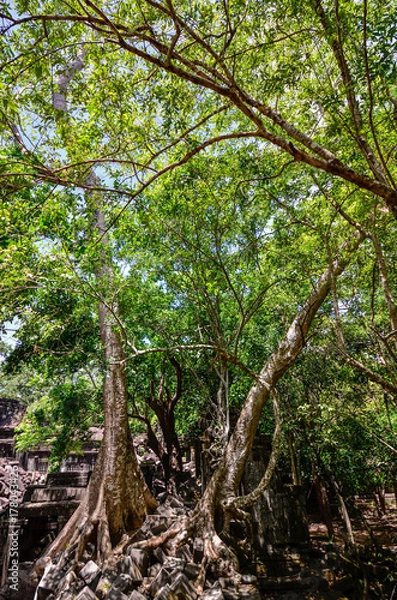 Fototapeta ベンメリア遺跡