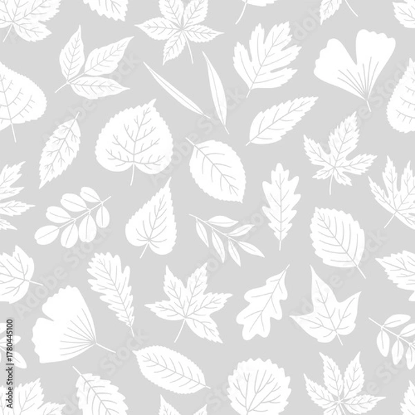 Obraz Seamless pattern with white silhouette leaves on gray background. Texture leaf of maple, oak, linden, aspen, ginkgo, and others. Print for textile, package, and wrapping paper. Vector illustration