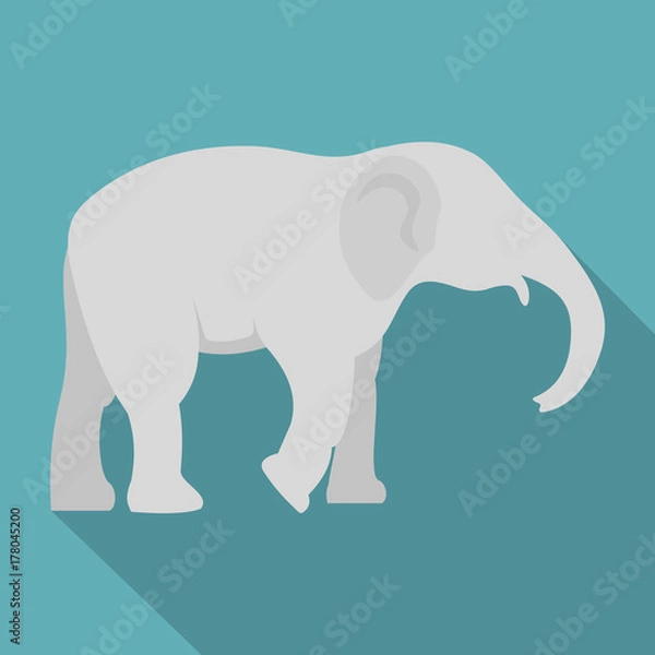 Fototapeta Elephant icon, flat style