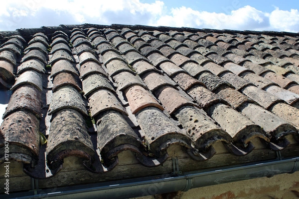 Fototapeta Toiture à nettoyer, avec mousses et lichens