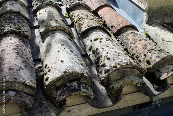 Fototapeta Toiture à nettoyer, avec mousses et lichens