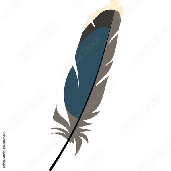 Fototapeta A Single Feather with Blue and Brown Tones Isolated on a White Background