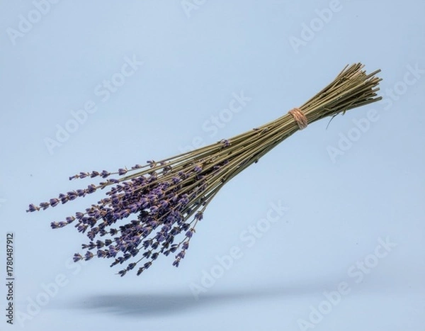 Obraz Floating Bundle of Dried Lavender Flowers on Light Blue Background