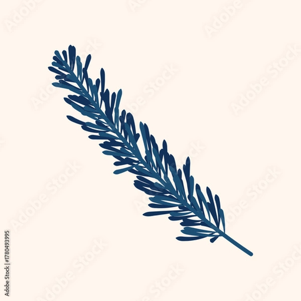 Obraz Branch of pine. Winter plant. Winter branches and leaves. Winter floral elements. Holiday decoration. Vector illustration