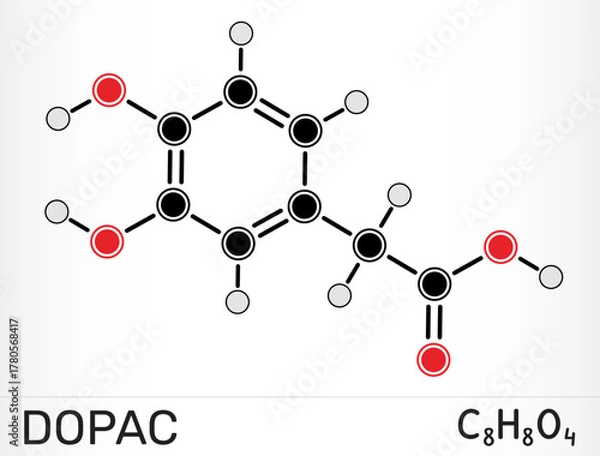 Fototapeta DOPAC molecule 3,4-dihydroxyphenylacetic acid. Dopamine metabolite and catechol compound. Vector illustration