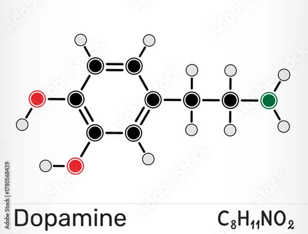 Fototapeta Dopamine molecule. Catecholamine neurotransmitter and brain reward chemical. Vector illustration