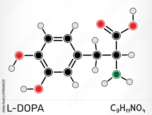 Fototapeta L-DOPA, levodopa molecule, biochemical precursor of dopamine and other catecholamine neurotransmitters, used in Parkinson’s disease therapy. Vector illustration