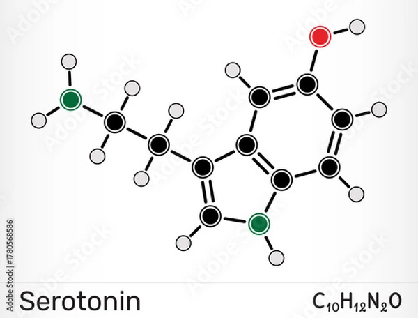 Fototapeta Serotonin molecule. Neurotransmitter regulating mood and sleep. Vector illustration