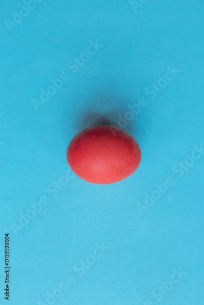 Fototapeta Trend colored pink chicken egg on a blue pastel minimalistic background