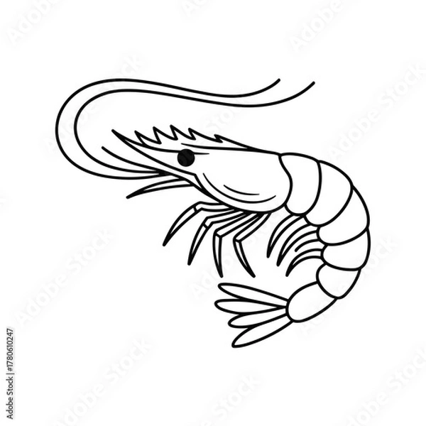 Fototapeta Prawn line art vector icon simple seafood illustration graphic
