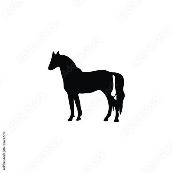 Obraz Silhouette black 