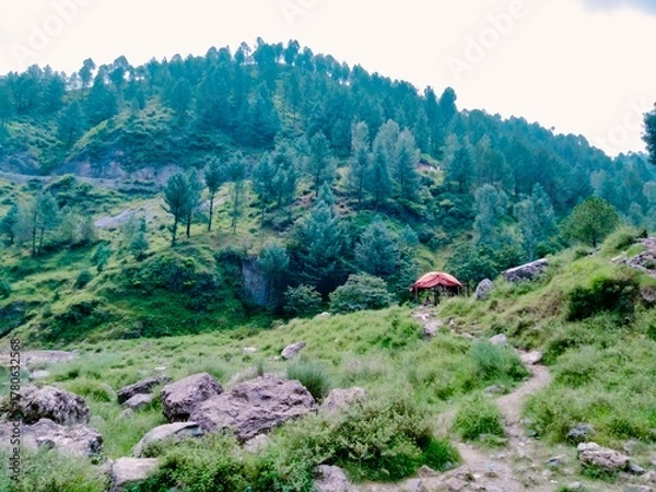 Fototapeta Serene mountain landscape with lush green trees and a small rustic shelter.