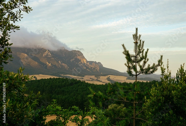 Obraz View of the mountains from the forest