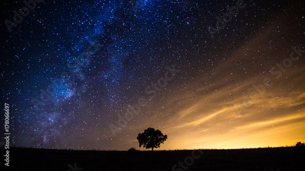 Obraz Drzewo i Via Lactea
