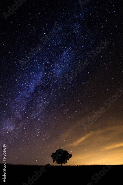 Obraz Árvore e Via Lactea 