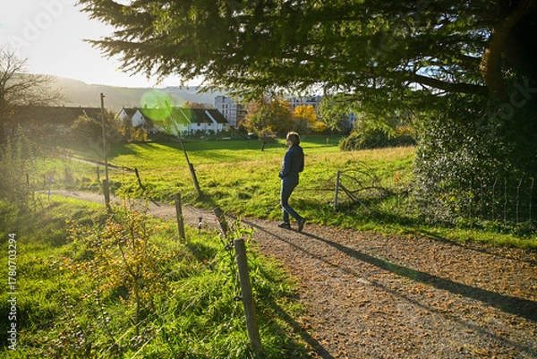 Obraz Person walking on a sunny countryside path near Uster, surrounded by green fields, autumn trees, and distant houses under warm afternoon light