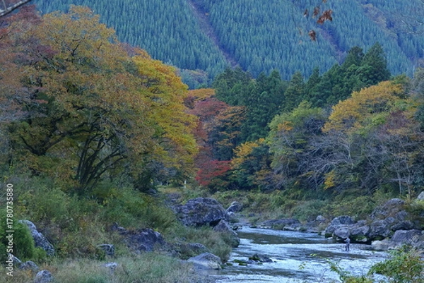 Fototapeta 燃える秋