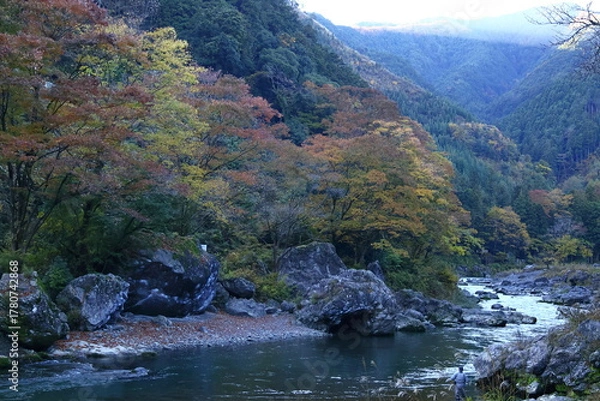 Fototapeta 燃える秋