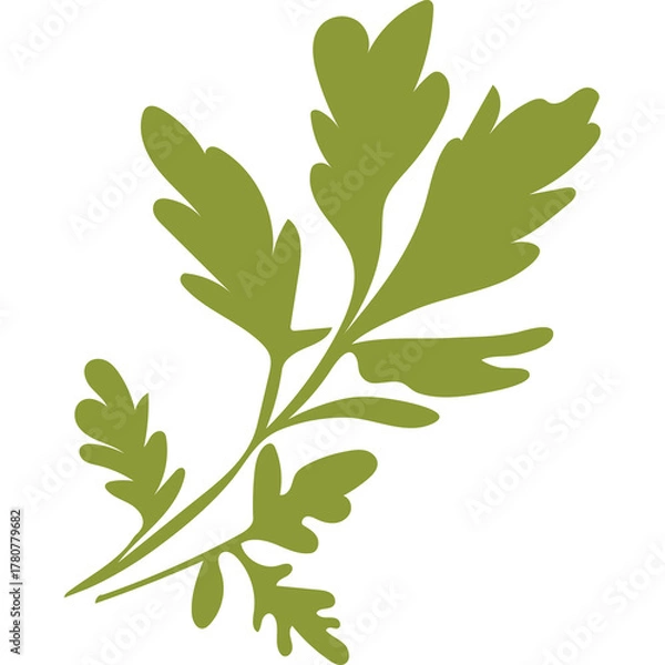 Obraz Green Parsley Leaf Stem Silhouette Isolated On White Background Flat Graphic Design Herb And Spice Ingredient For Cooking And Culinary Use