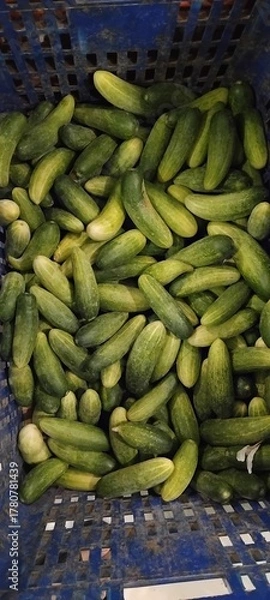 Obraz vegetables cucumbers at the market
