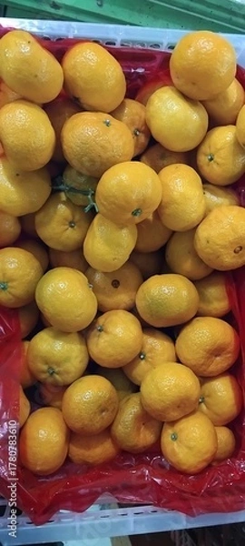 Obraz fruit orange fresh and sweet 