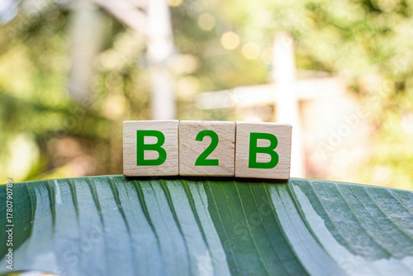 Obraz B2B business to business model refers to a business model in which one organization sells goods or services to another. In other words it is a business-to-business transaction.
