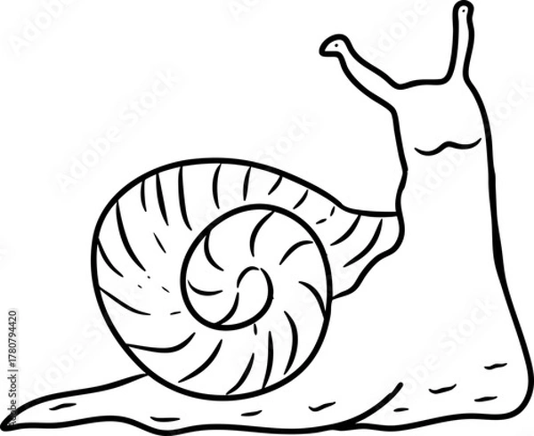 Obraz Hand Drawn Snail