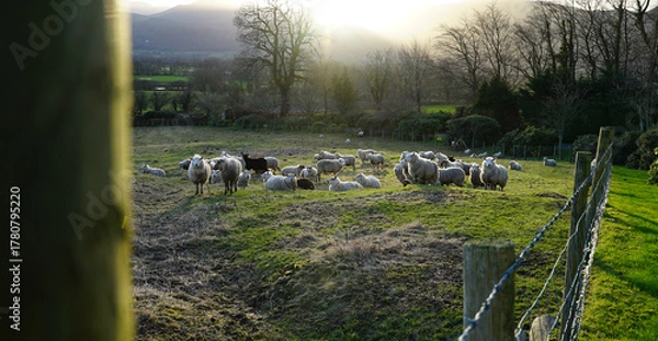 Fototapeta Lake District views