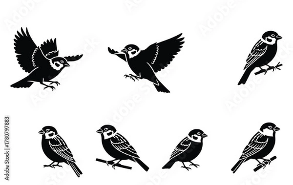 Obraz A collection of stylized black and white sparrow bird illustrations, depicting various poses from flying to perching on a branch. Vector graphic icon set
